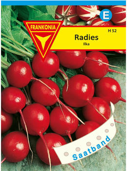 Frankonia Radies Ilka (Saatband)