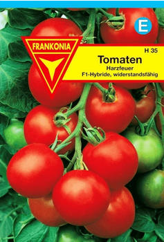 Frankonia Stabtomate Harzfeuer F1
