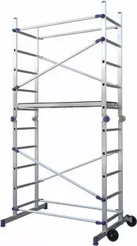Facal Pinna S100
