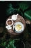 Seltmann Weiden Life Fashion Kaffeeservice 18-teilig Green Chic
