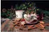 Seltmann Weiden Weiden Life Christmas Kombiservice 30-teilig