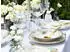 CreaTable 24771, Adelaide Grün, Tafelservice 8-tlg, Porzellan