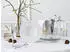 CreaTable 25149, Show Time Stripes Weiss, Tellerset 4-tlg, Porzellan