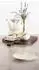 Seltmann Weiden Savona Provence Teeservice 18-teilig, Porzellan (001.780126)