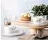 Seltmann Weiden Liberty Goldrand Basic-Set Porzellan, 6-teilig
