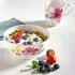 Villeroy & Boch Einsteigerset 8 tlg Mariefleur Basic