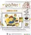 Harry Potter Zauberer-Raten