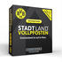 Stadt Land Vollpfosten - Entscheidend ist auf'm Platz BVB Edition (Das Kartenspiel)