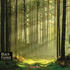 Black Forest (deutsch)