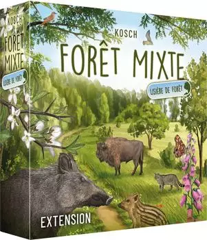 Forêt mixte - Lisière de forêt (French)