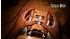 Tesla Box Puzzlebox