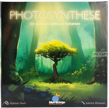 Photosynthese - Ein Spiel um Licht und Schatten