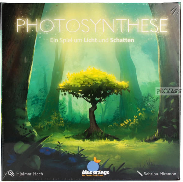 Photosynthese - Ein Spiel um Licht und Schatten