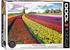 Eurographics 6000-5326 - Tulip Field, Tulpenfelder, Niederlande, Puzzle 1000 Teile