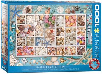 Eurographics 6000-5529 - Seashell Collection, Muschelsammlung, Puzzle 1000 Teile