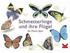 Laurence King Verlag Schmetterlinge und ihre Flügel (441302)