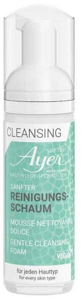 Ayer Gentle Cleansing Foam (150 ml)