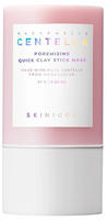 Skin1004 Madagascar Centella Poremizing Quick Clay Stick Mask 27 g