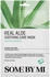 Some by Mi Real Care Mask