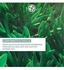 Yves Rocher Hydra Végétal Serum Non-Stop Feuchtigkeit 100h 30 ml