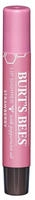 Burt's Bees 5002-37, Burt's Bees Burts Bees Lip Shimmers II Strawberry 2,55 g