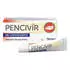 Fenistil Pencivir bei Lippenherpes Creme (2 g)