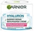 Garnier Hyaluron Barrier Repair 50 ml