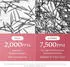Medicube Exosome Shot PDRN 7500 (30 ml)