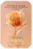 Babor Vitamin Glow Ampullen Kur 7x2 ml
