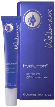 Wellmaxx Hyaluron5 Perfect Eye Gel Concentrate (20ml)