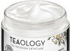 Teaology, Gesichtscreme, Ginger Tea Energizing Aqua Cream 50ml