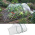 Mojawo XL Pop Up Gewächshaus PVC 250x110x70 cm