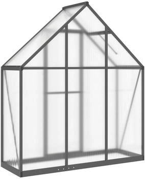 vidaXL Gew&auml;chshaus mit Fundamentrahmen anthrazit 169x58x195 cm Alu