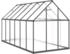 vidaXL Gewächshaus mit Fundamentrahmen anthrazit 334x169x195 cm Alu 334 cm x 195 cm
