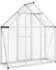 vidaXL Gewächshaus mit Fundamentrahmen silbern 169x58x195cm Aluminimum silber 169 cm x 195 cm