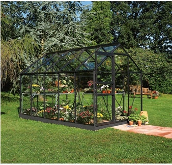 Halls Gew&auml;chshaus Popular 106 Blankglas 3 mm Schwarz 6,2m&sup2; inkl. Fundamentrahmen