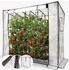 Arebos Tomatengewächshaus 200×77×170 cm 2 Netzfenstern Rolltür