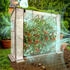 Arebos Tomatengewächshaus 200×77×170 cm 2 Netzfenstern Rolltür