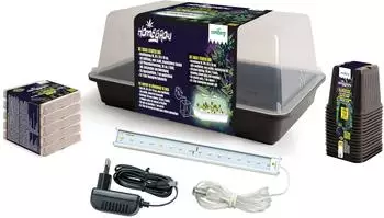 Romberg Anzucht Basic Starter Box 38×24×19 cm (ROM-12094309)