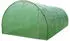 MonsterShop Polytunnel Gewächshaus 6x3m 25mm mit Regal (Walk-In)