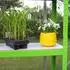 MonsterShop Polytunnel Gewächshaus 6x3m 25mm mit Regal (Walk-In)