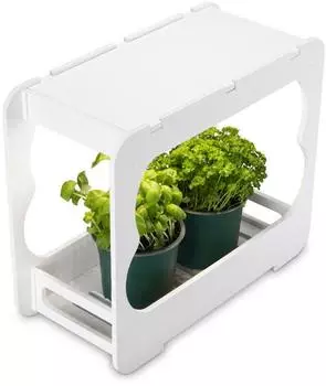 Xavax Smart Garden Home Mini-Gewächshaus mit LED-Wachstumslampe, 3 Töpfe Ø 10cm (00112926)