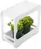 Xavax Smart Garden Home Mini-Gewächshaus mit LED-Wachstumslampe, 3 Töpfe Ø 10cm (00112926)
