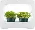 Xavax Smart Garden Home Mini-Gewächshaus mit LED-Wachstumslampe, 3 Töpfe Ø 10cm (00112926)