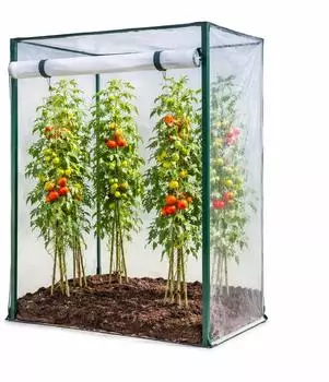 Mojawo Tomatengewächshaus Frühbeet 100x50x150cm