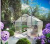 KGT Orchidee III Gewächshaus 9,6m²