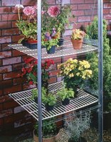Vitavia Regal Regalset f&uuml;r Anlehnhaus 900 und 1300