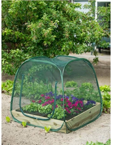 Mini-Gewächshaus Ausstattung & Gestell Nature Pop-up garden greenhouse