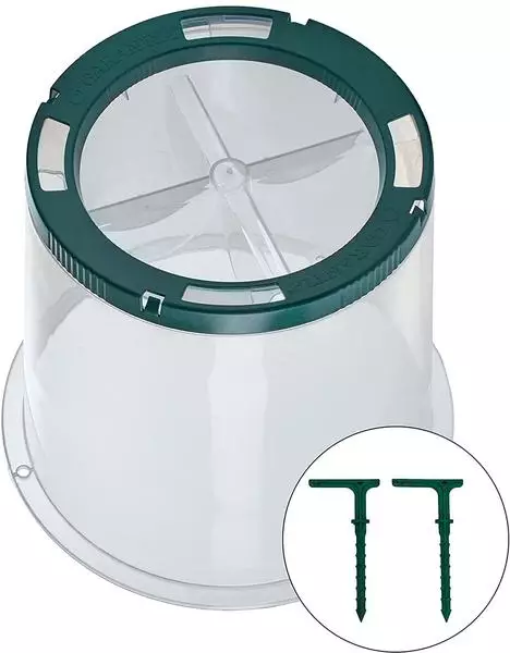 Garantia Pflanzglocke Sunny