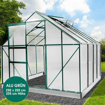 Brast Aluminium-Gewächshaus 250 x 250 x 205 cm grün